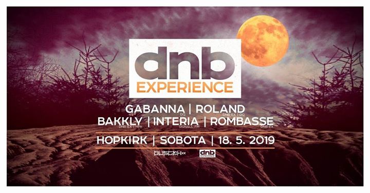 DnB experience